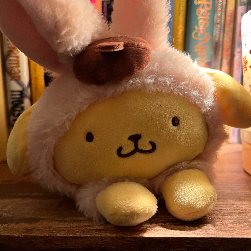 Sanrio Pompompurin as a adorable little bunny